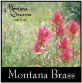 Montana Dreams CD cover